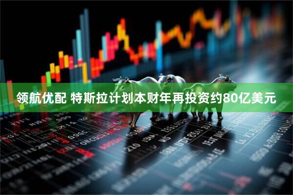 领航优配 特斯拉计划本财年再投资约80亿美元