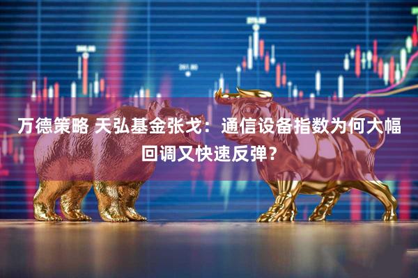 万德策略 天弘基金张戈：通信设备指数为何大幅回调又快速反弹？